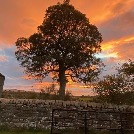 Wydon Farm Bed And Breakfast Haltwhistle Dış mekan fotoğraf