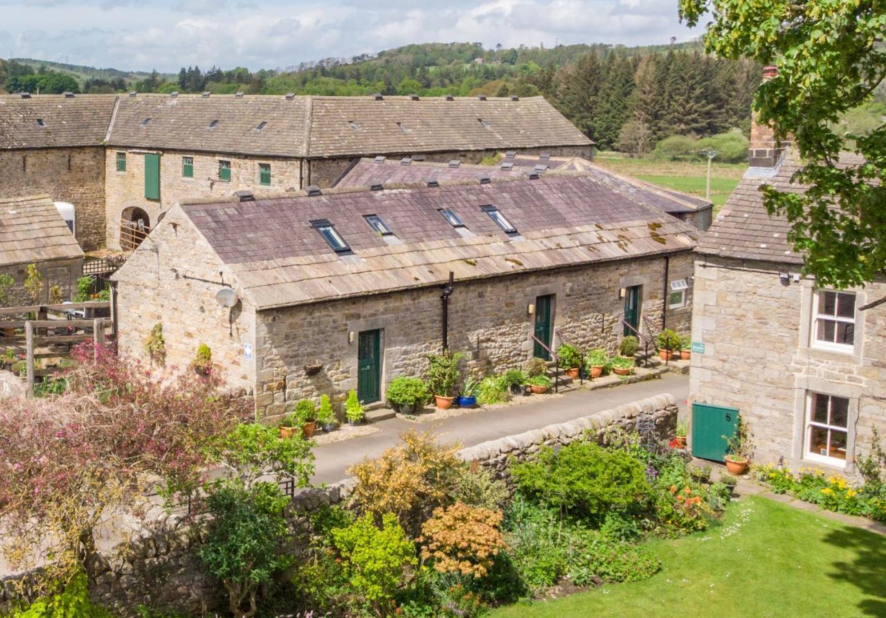 Wydon Farm Bed And Breakfast Haltwhistle Dış mekan fotoğraf