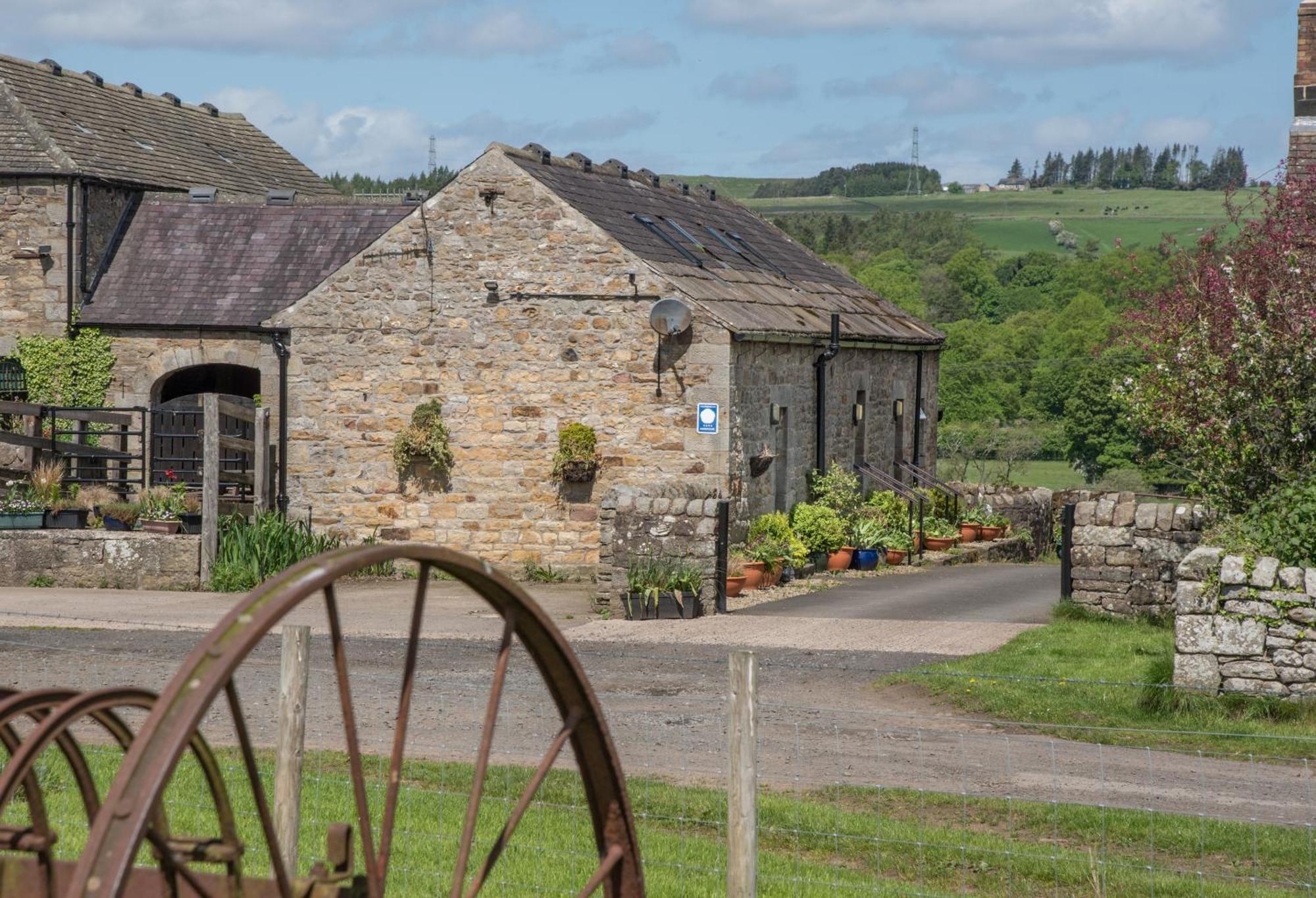 Wydon Farm Bed And Breakfast Haltwhistle Dış mekan fotoğraf