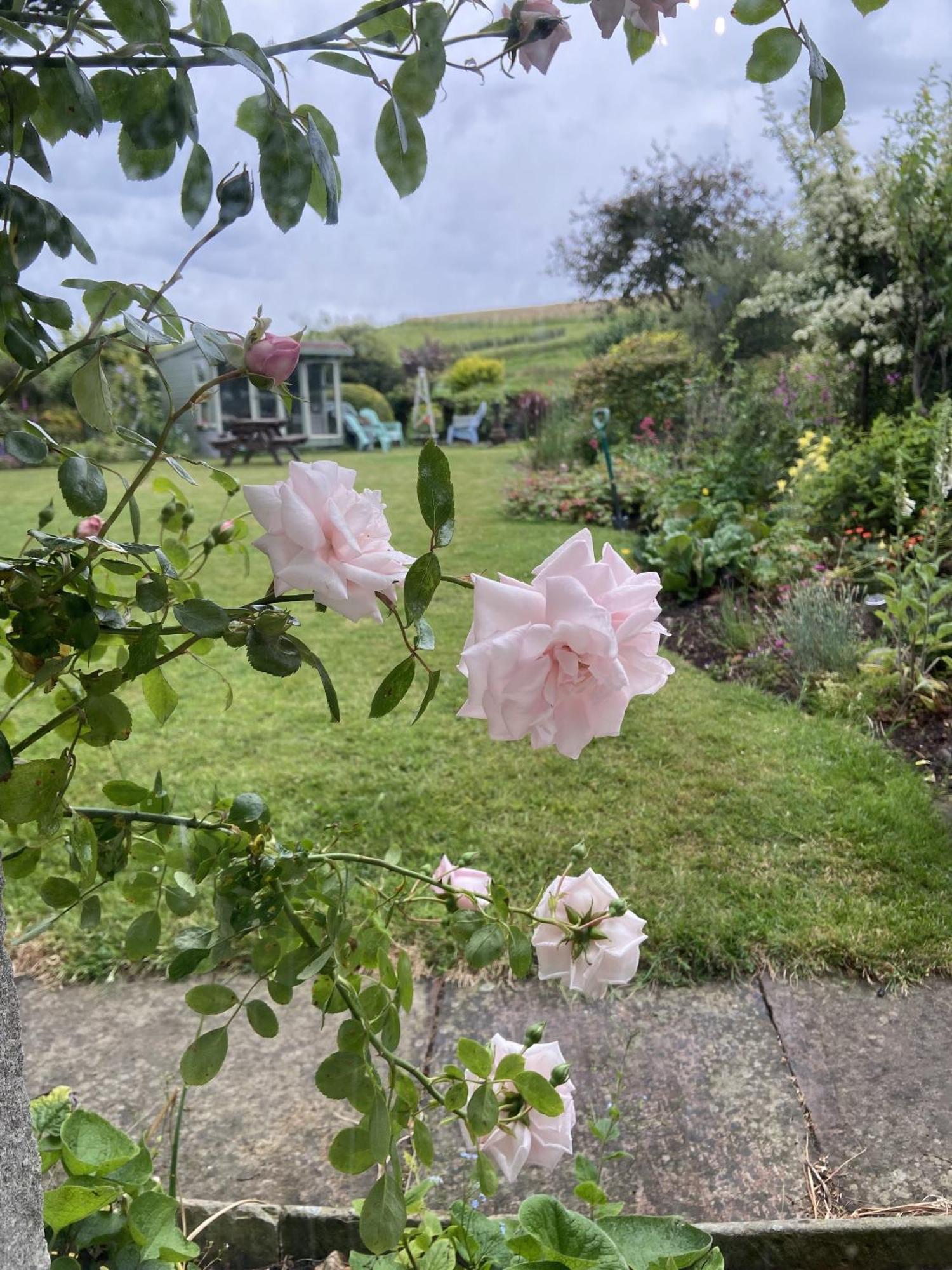 Wydon Farm Bed And Breakfast Haltwhistle Dış mekan fotoğraf
