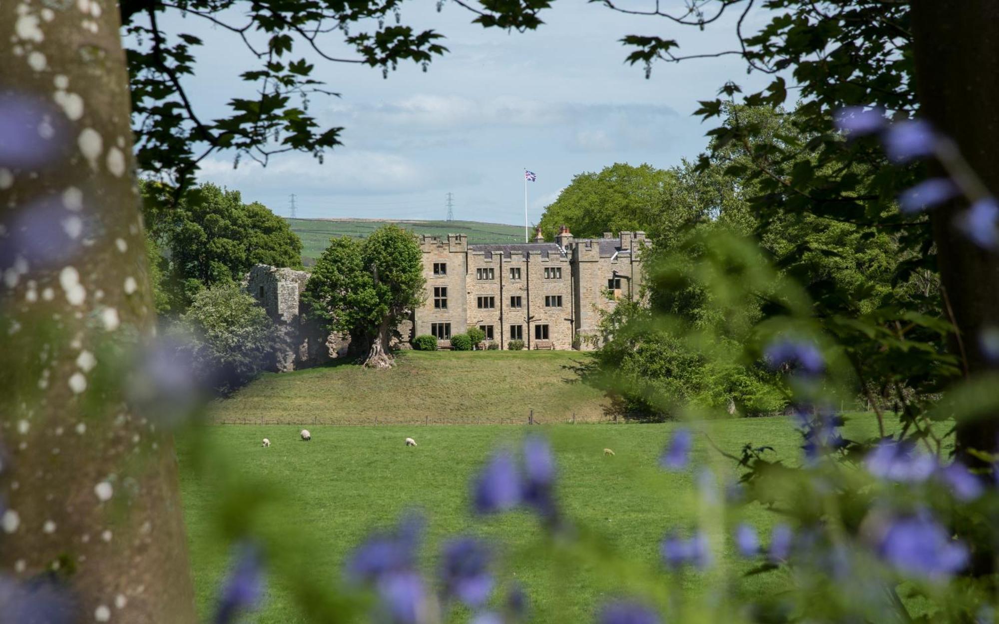 Wydon Farm Bed And Breakfast Haltwhistle Dış mekan fotoğraf