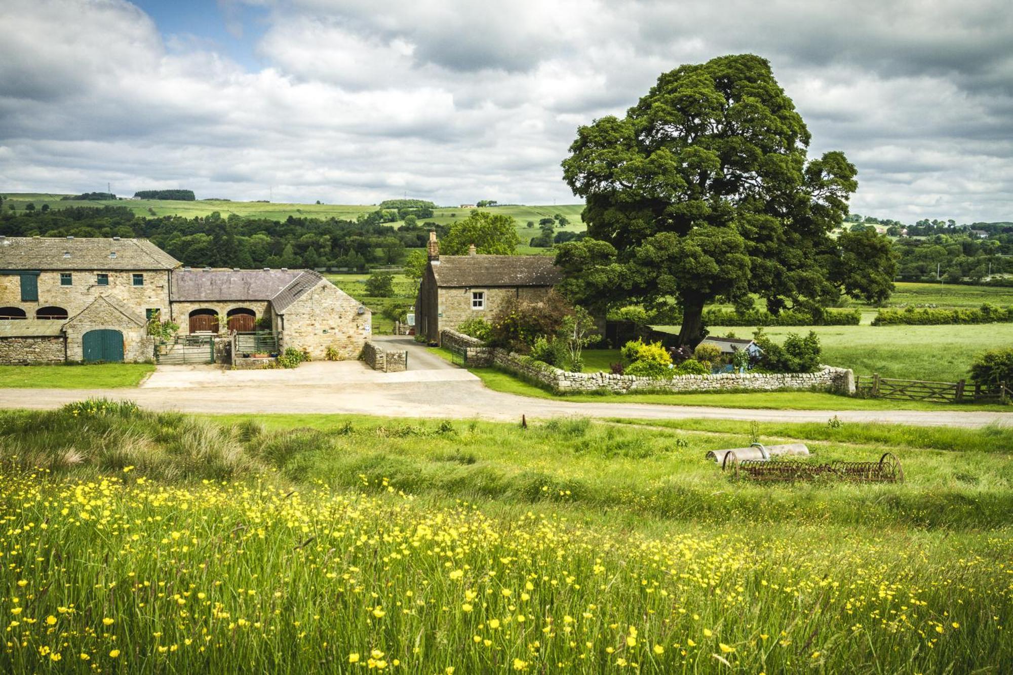 Wydon Farm Bed And Breakfast Haltwhistle Dış mekan fotoğraf